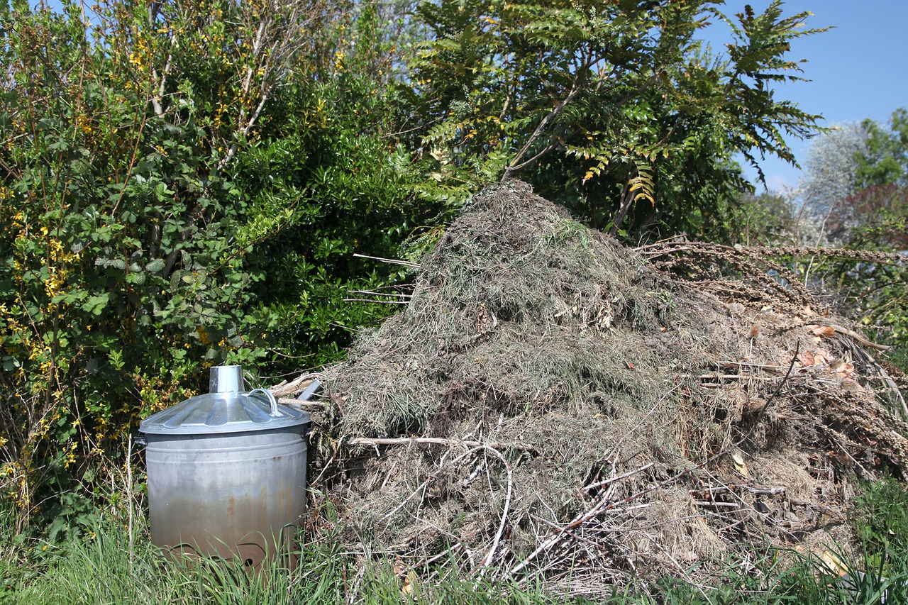 Landscaping Waste Removal area